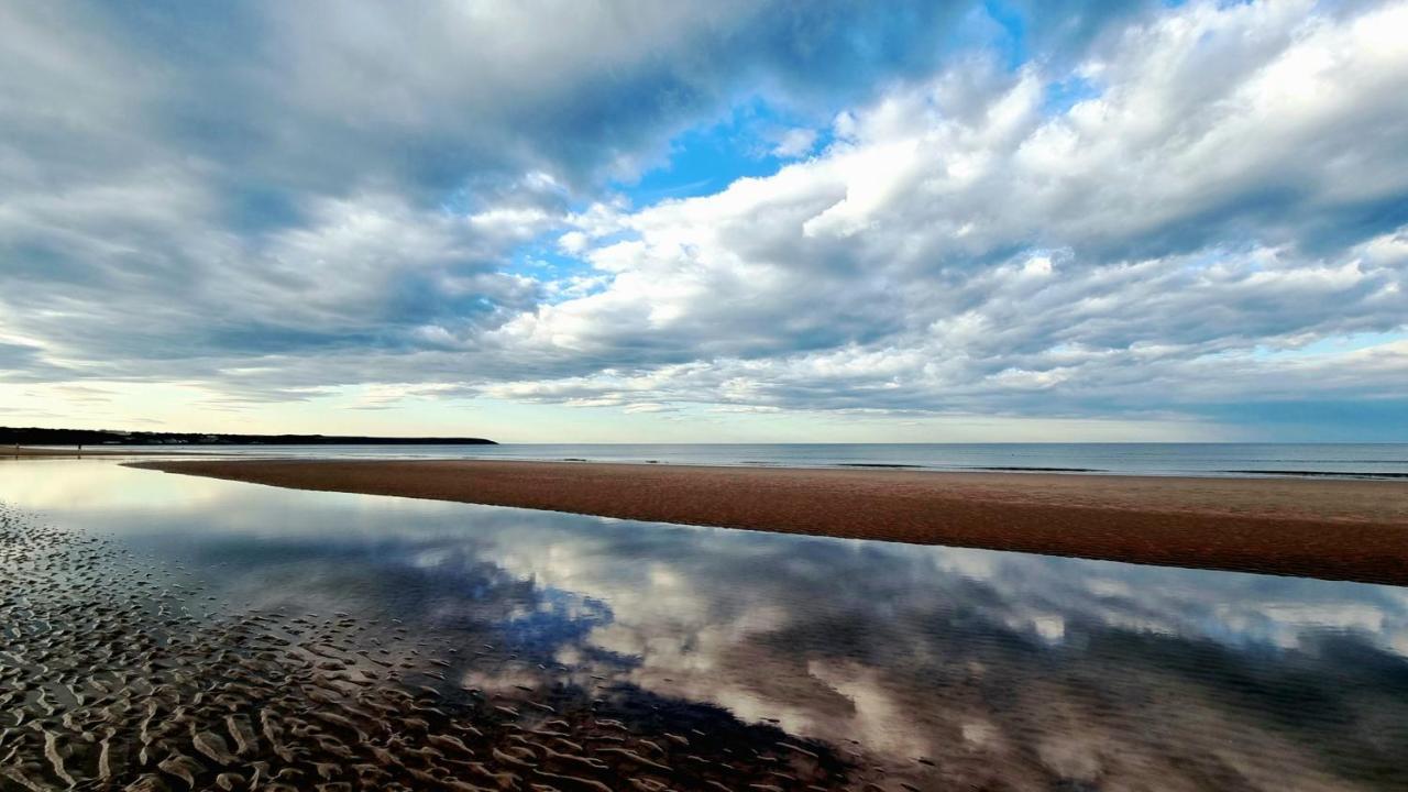 Snowdrop Filey