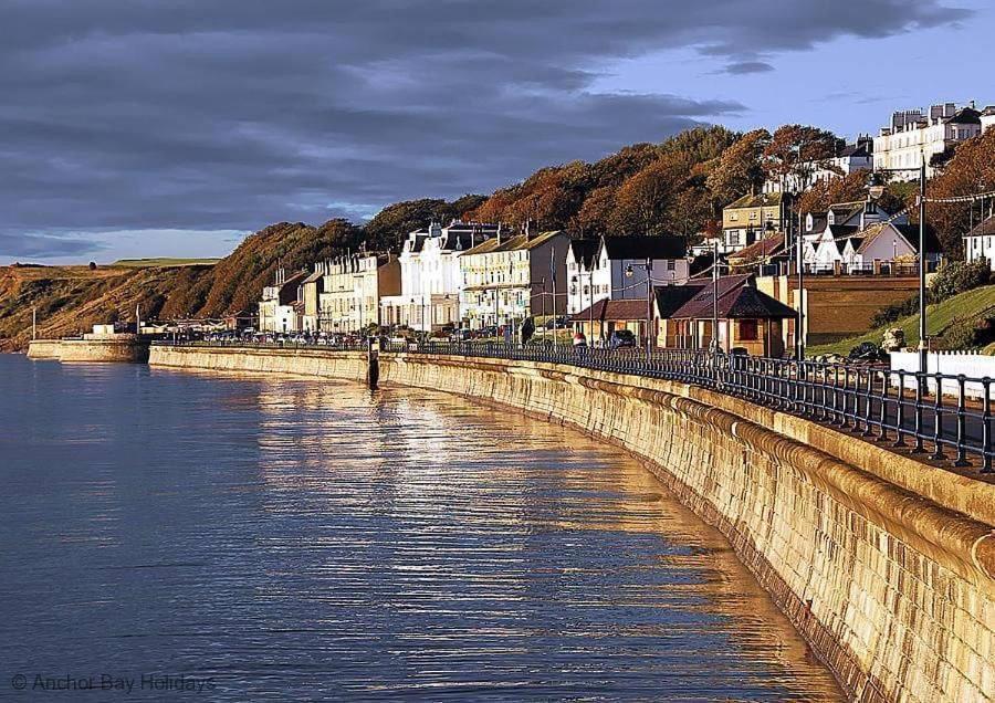 Snowdrop Filey