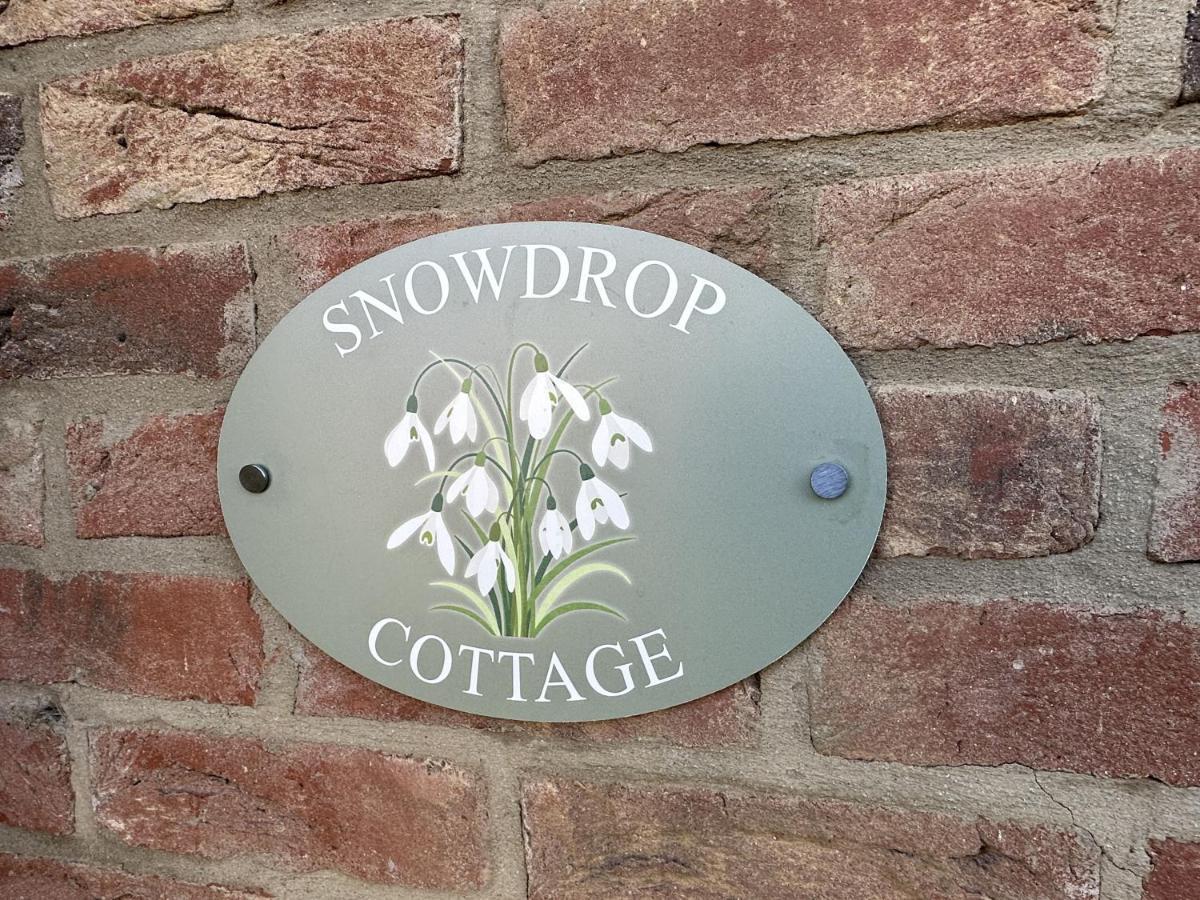 Snowdrop Дом отдыха